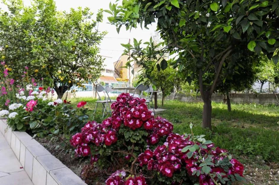 Vila Agolli Vlora Kültér fotó